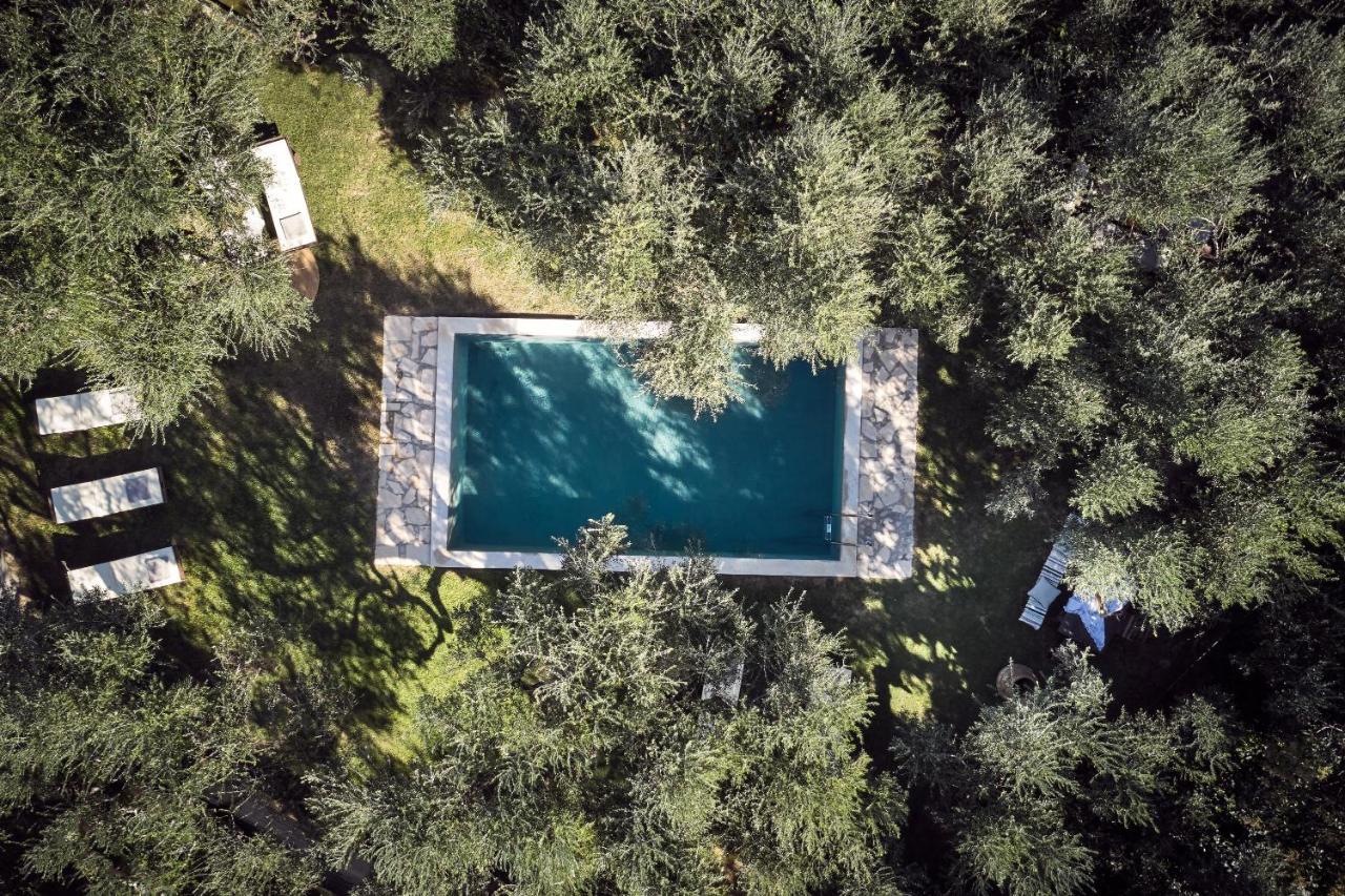 Vafias Villa - Tranquil Location, Ideal For Large Groups, By Zantewize Lithakia  Екстериор снимка